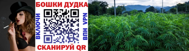 Купить закладку APVP  NBOMe  Меф  Зверево