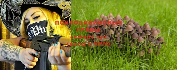 молекула духа Апатиты