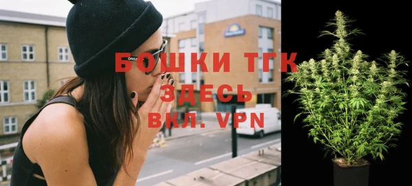 хмурый Фурманов