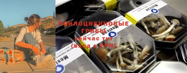 хмурый Фурманов