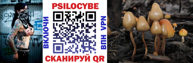 Купить где  Зверево  Галлюциногенные грибы Magic Shrooms 