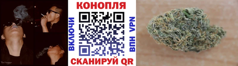 Бошки марихуана конопля Зверево